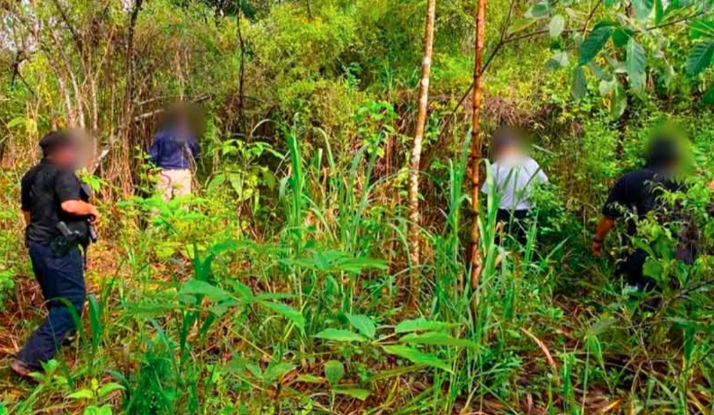 Hallan en Oaxaca cadáveres de 3 mujeres desaparecidas en fosa clandestina