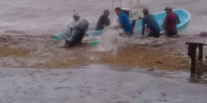 Piden auxilio para ser evacuados en zona maya de Quintana Roo