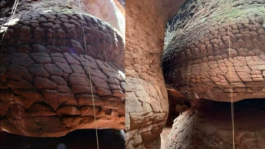 INSÓLITO: Hallan serpiente gigante petrificada en rara cueva de Tailandia