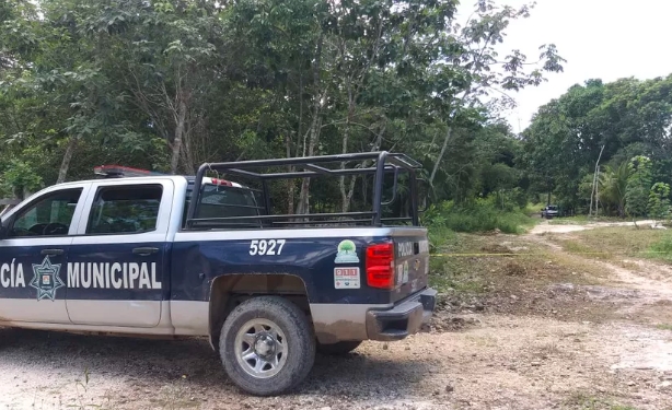 Cancún: Muere niña al ingerir veneno para ratas