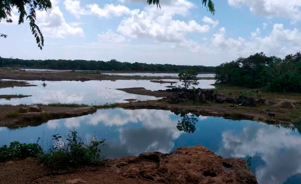 Encuentran cadáver flotando en una laguna de Cancún; fue macheteado