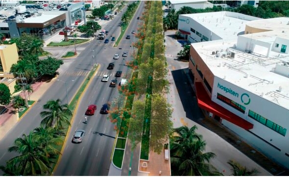 EN MARCHA PROYECTO DE CICLOVÍA EN AVENIDA BONAMPAK