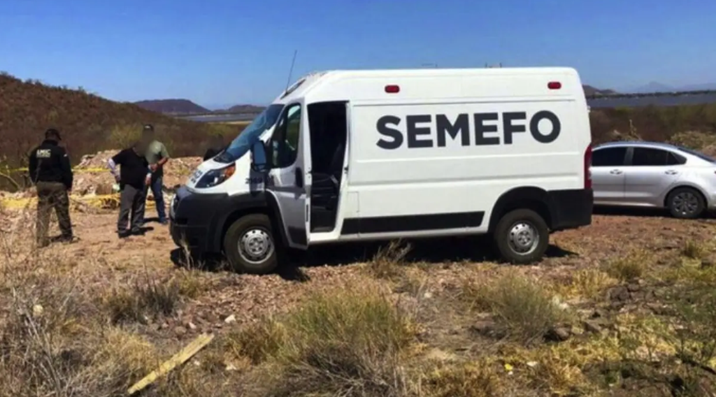 ¡Salvajismo! Matan y despedazan a ecologista en Guerrero