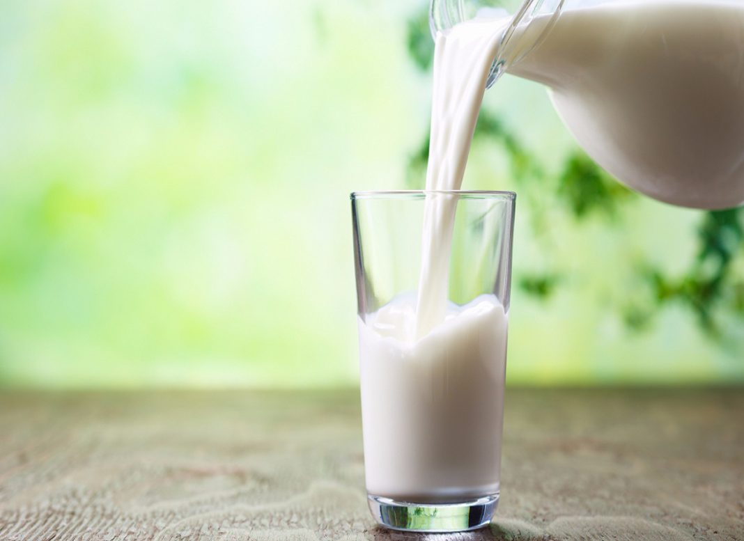 Día Internacional de la Leche: ¿Por qué se celebra a este alimento?