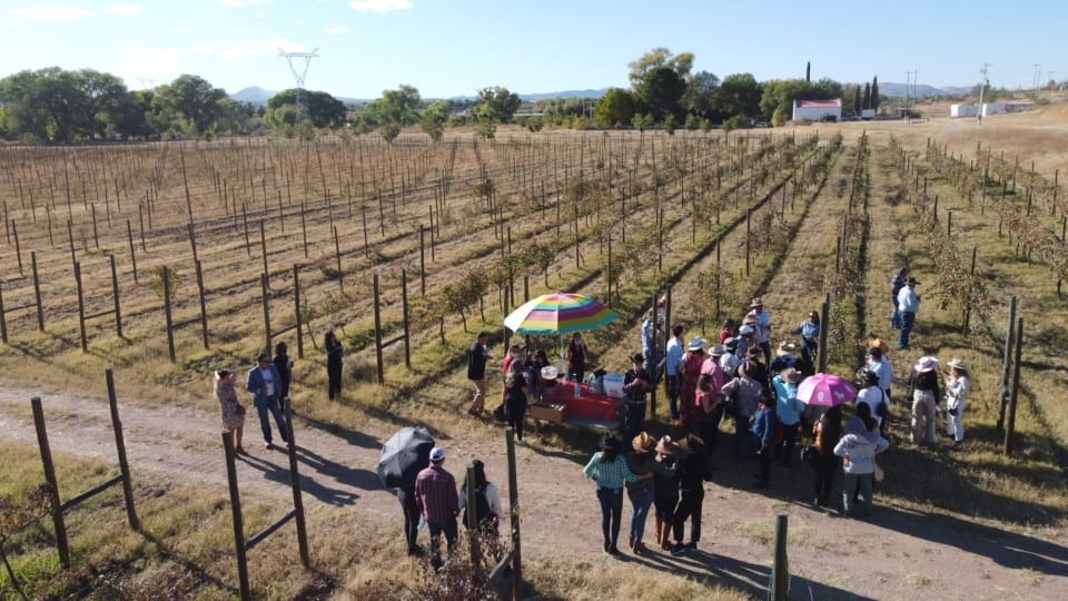 Reconocen a nivel internacional a industria vitivinícola chihuahuense por su alta calidad