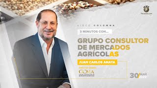 3 minutos con el Grupo Consultor de Mercados Agrícolas: Comercio Internacional Pecuario