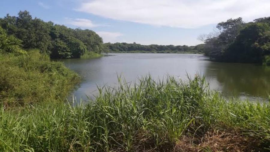 Presas al sur de Tamaulipas están vacías, peligran sembradíos