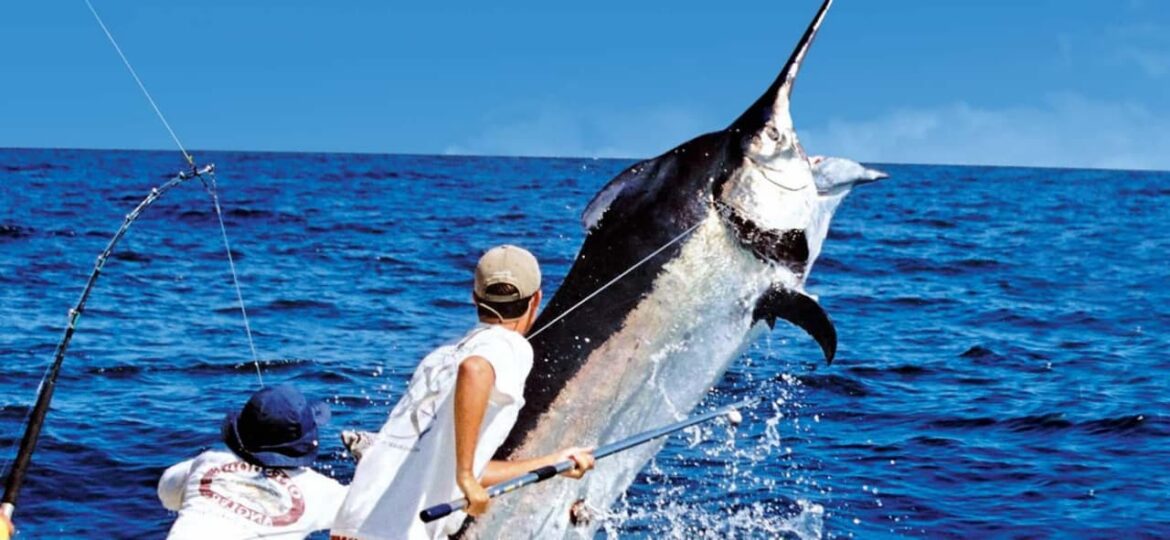 Presentan ‘Torneo Internacional de Pesca de Puerto Vallarta’