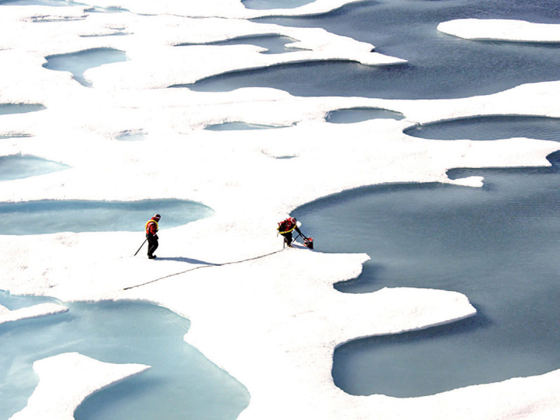 ¡Alerta mundial! El Ártico enfrenta una catástrofe inminente: ¡Todo su hielo podría desaparecer en  10 años!