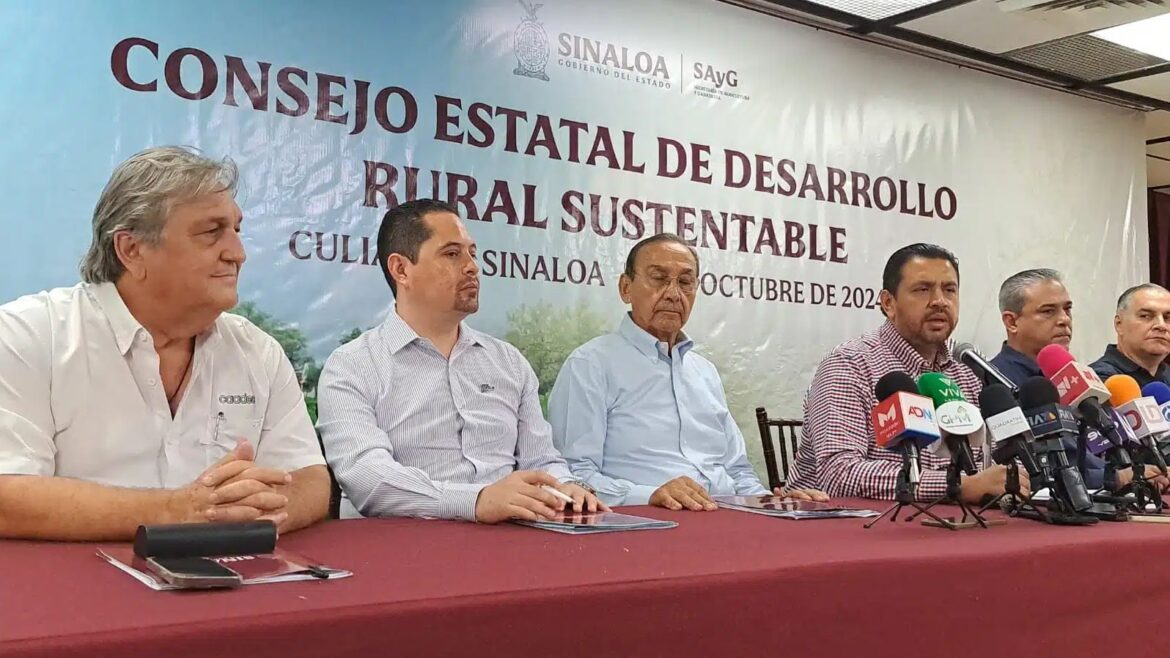 Acuerdan establecer casi 500 mil hectáreas de maíz en Sinaloa a pesar de reserva de agua