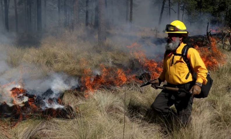 Puebla suma 261 incendios este 2025; registran siniestros urbanos y forestales