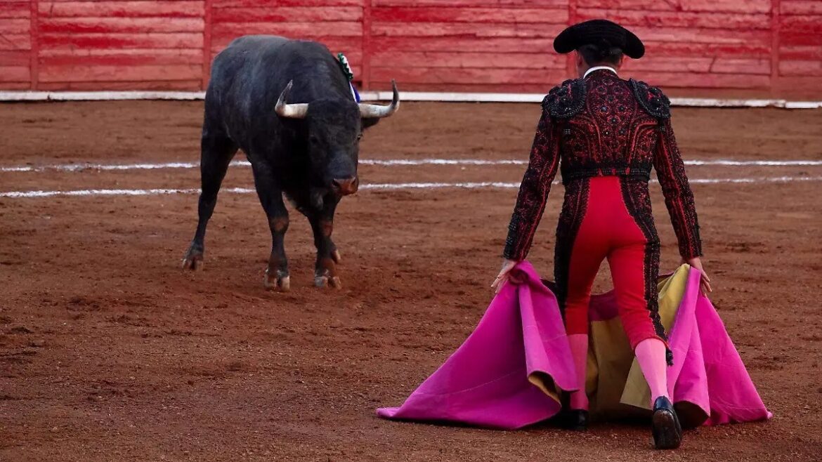 Tauromaquia Mexicana acudirá a tribunales para defender corridas de toros