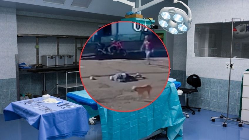 Abuelito que fue “atropellado” por un perro despierta del coma y queda cuadripléjico