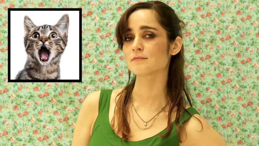 Aclara Julieta Venegas la verdad detrás de Limón y Sal