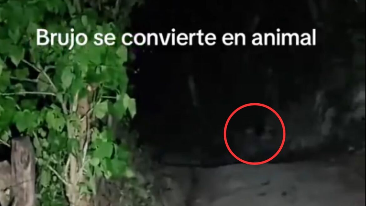 Tiktoker asegura haber tenido un encuentro con “brujo” en Izalco y se vuelve viral en redes