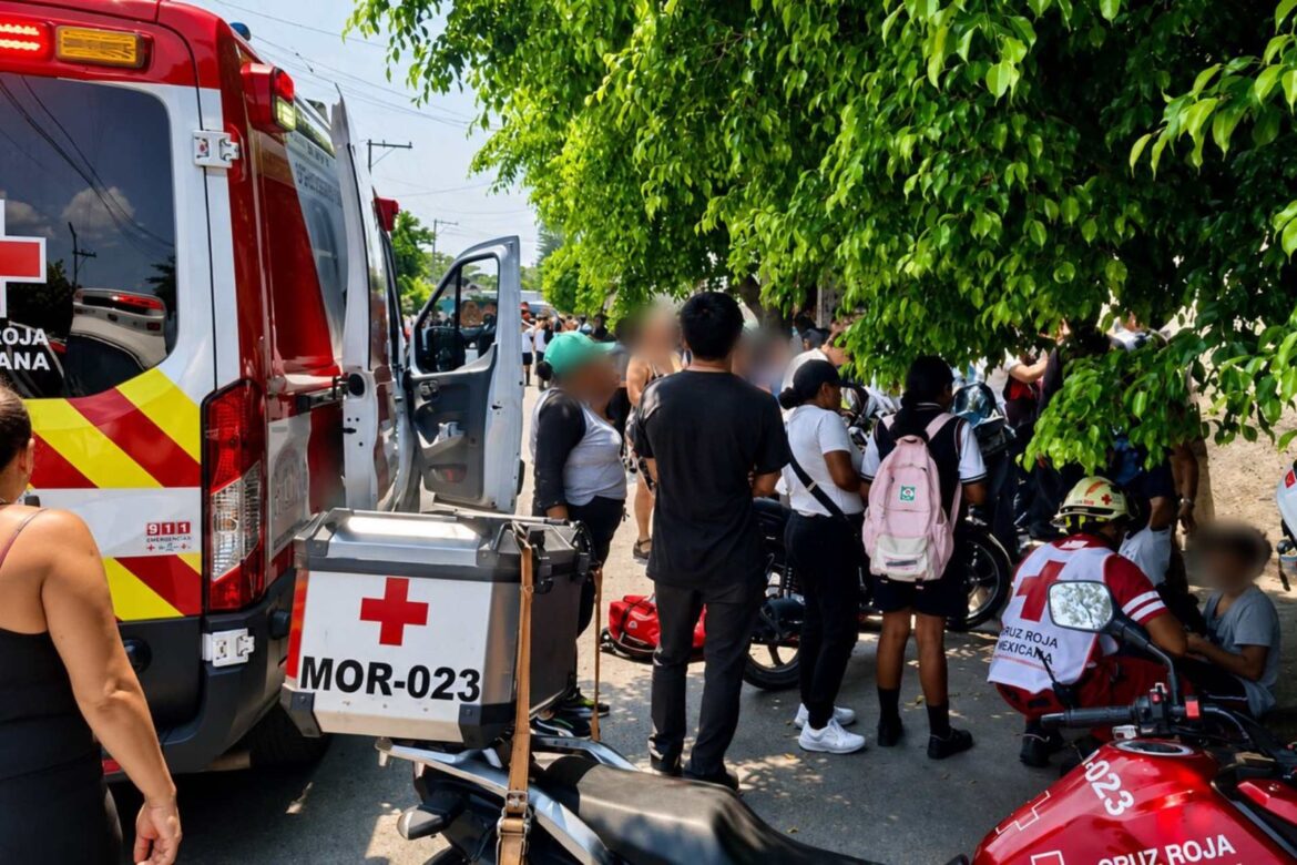 Abejas atacan a 100 personas en telesecundaria de Cuautla, Morelos