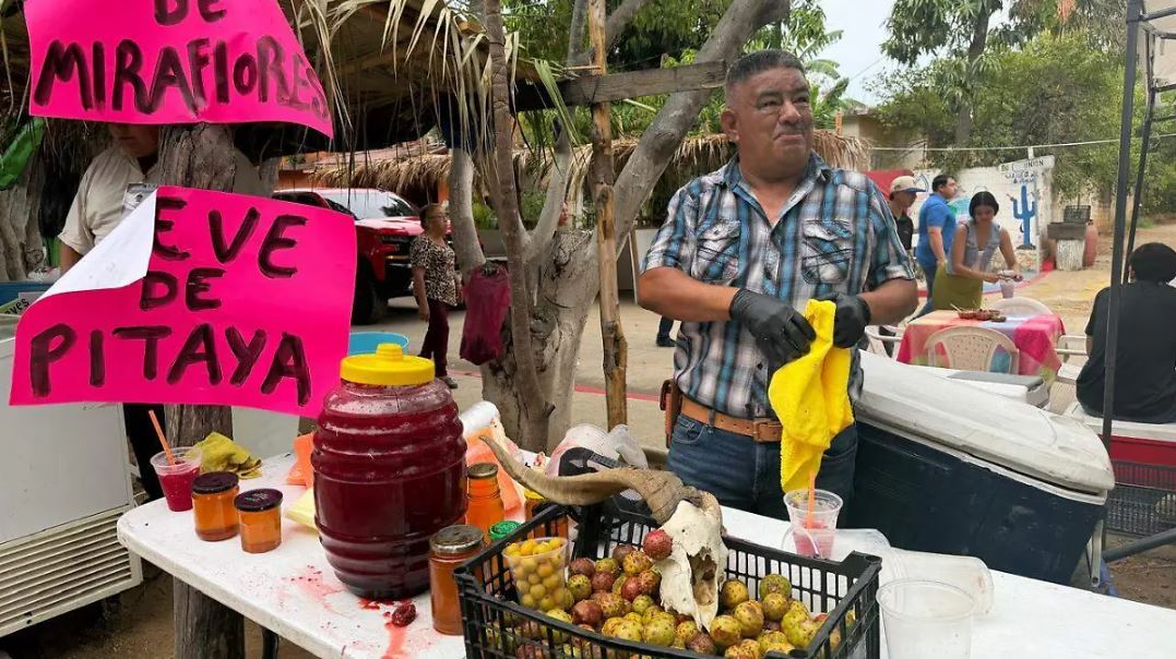 Pitahayeros: el oficio que mantiene viva una tradición en Baja California Sur