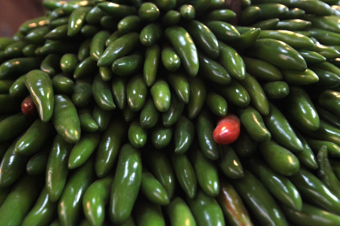 Retiran productos con jalapeño mexicano en EU por salmonela