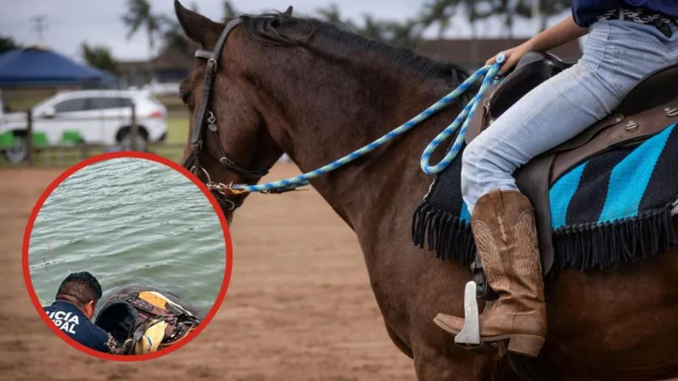 Desaparece jinete tras caer al agua en Huichapan; caballo fallece