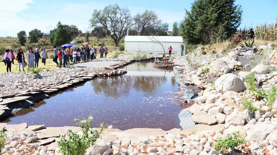 Festival Etnobiológico Tlaxcalan: conoce plantas, hongos y saberes tradicionales de Tlaxcala